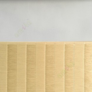 Beige color Vertical stripes with horizontal thread lines soft finished with transparent net fabric zebra blind